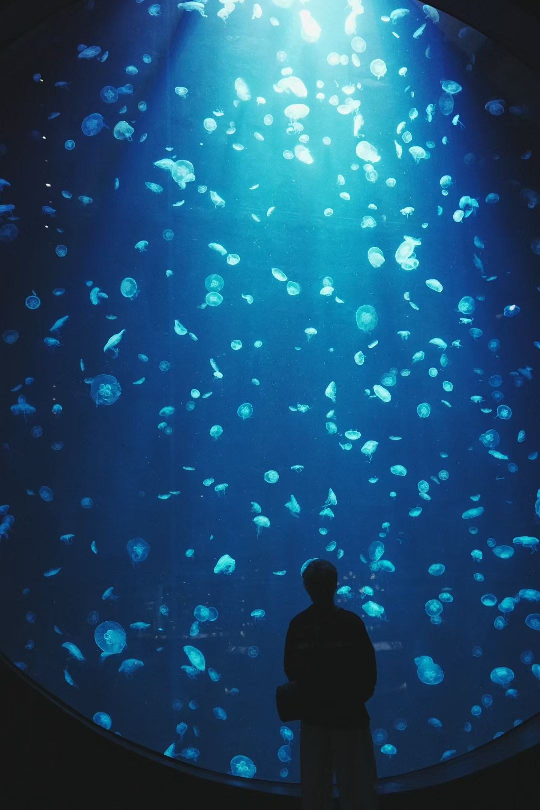 Xinyu Guan beside a glowing jellyfish aquarium